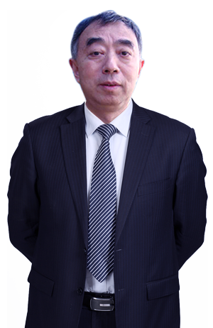 何先枝