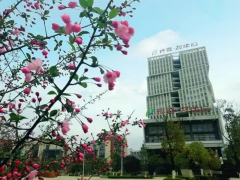 <b>文都2018考研春季体验营四天三夜名师面授！</b>